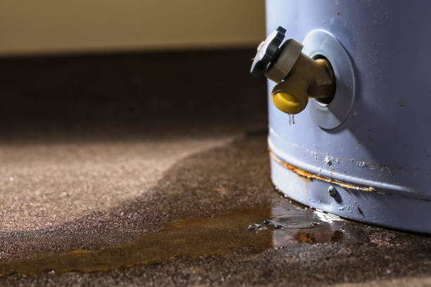 Best Water damage cleanup near me  in Kittredge, CO