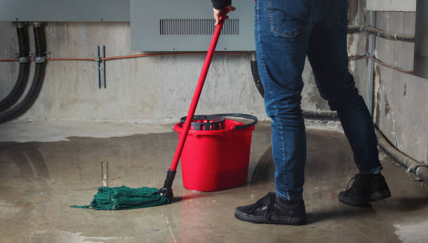 Trusted Kittredge, CO Water damage restoration Experts