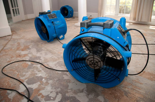 Best Water damage cleanup near me  in Kittredge, CO