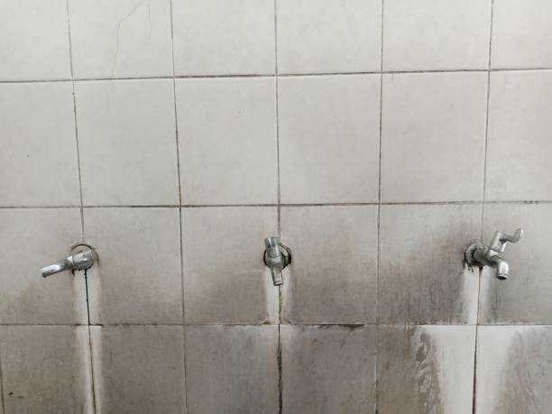 Best Water damage restoration company  in Kittredge, CO