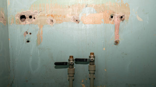 Carpet water damage restoration in Kittredge, CO