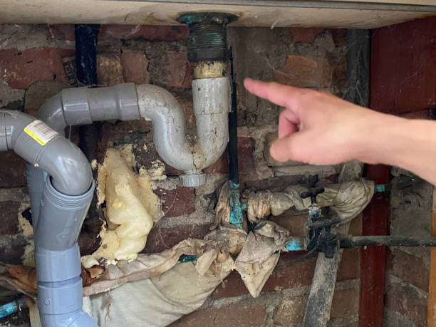 Best 24/7 water damage repair  in Kittredge, CO