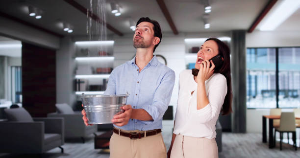 Best Local water damage restoration  in Kittredge, CO