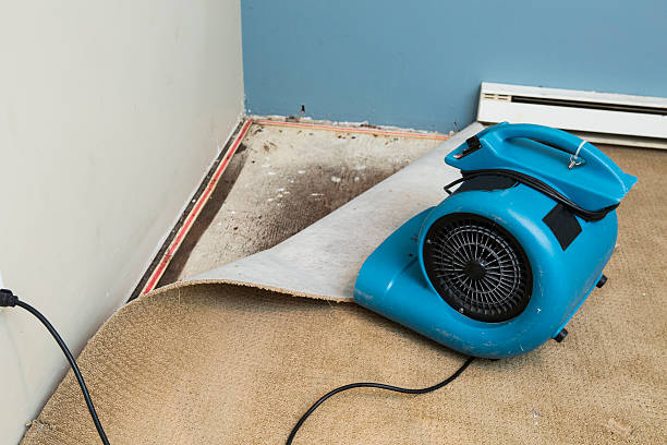 Best Water damage restoration near me  in Kittredge, CO